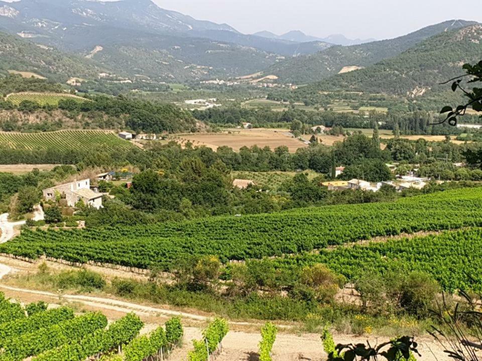 Vila lou baïto Condorcet Exteriér fotografie