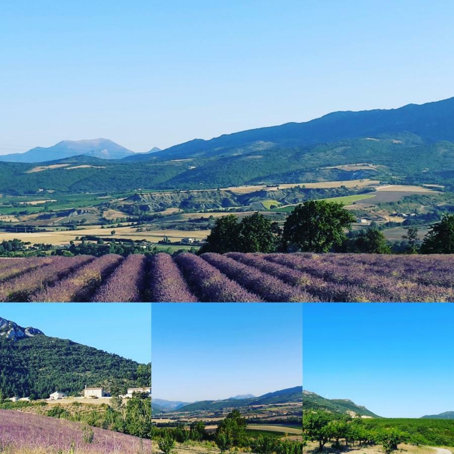 Vila lou baïto Condorcet Exteriér fotografie